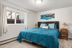 534 and 53 Spruce St, Aspen, CO 81611 - Photo 16