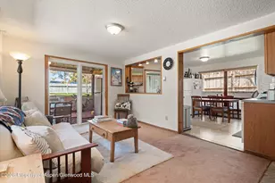 534 and 53 Spruce St, Aspen, CO 81611 - Photo 18