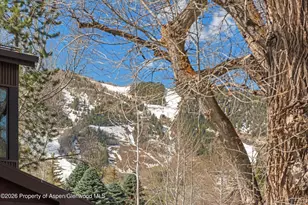534 and 53 Spruce St, Aspen, CO 81611 - Photo 28