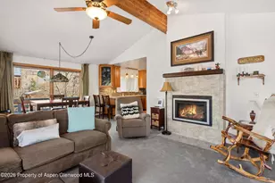 534 and 53 Spruce St, Aspen, CO 81611 - Photo 8