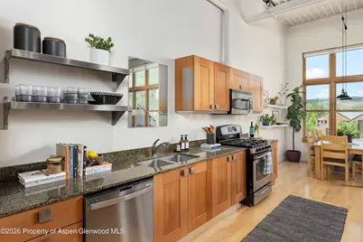 231 Robinson Street #320, Basalt, CO 81621 - Photo 6