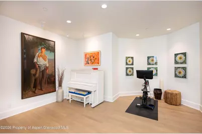 1263 Bunny Court #Unit 1, Aspen, CO 81611 - Photo 20