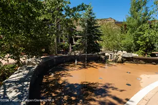 110 Carriage Way, Snowmass Village, CO 81615 - Photo 20
