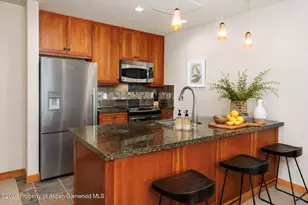110 Carriage Way, Snowmass Village, CO 81615 - Photo 6