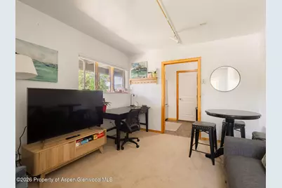 216 E Homestead Drive, Basalt, CO 81621 - Photo 26