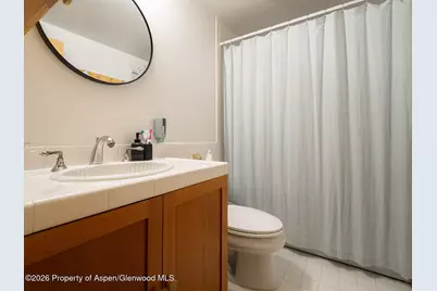 216 E Homestead Drive, Basalt, CO 81621 - Photo 22