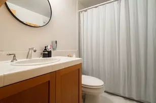 216 E Homestead Dr, Basalt, CO 81621 - Photo 22