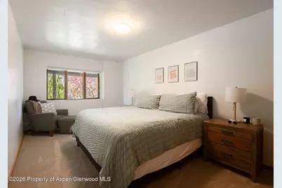 216 E Homestead Drive, Basalt, CO 81621 - Photo 24