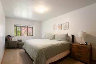 216 E Homestead Dr, Basalt, CO 81621 - Photo 24