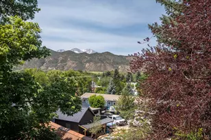 216 E Homestead Dr, Basalt, CO 81621 - Photo 28