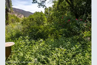 216 E Homestead Drive, Basalt, CO 81621 - Photo 38