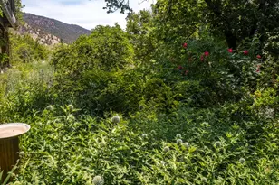 216 E Homestead Dr, Basalt, CO 81621 - Photo 38