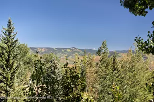 45 Ermine Ln, Snowmass Village, CO 81615 - Photo 64