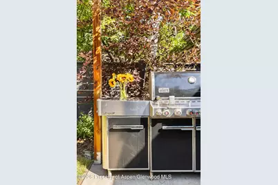 980 Cemetery Lane, Aspen, CO 81611 - Photo 34