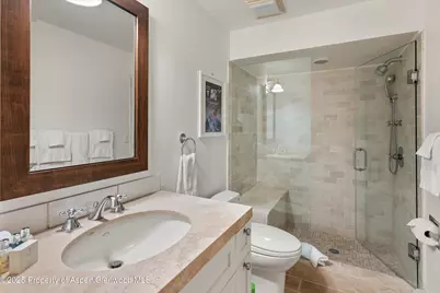901 W Francis Street, Aspen, CO 81611 - Photo 24