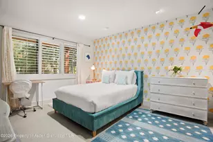 901 W Francis St, Aspen, CO 81611 - Photo 16