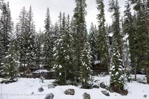273 River Park Dr, Breckenridge, CO 80424 - Photo 42
