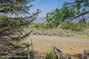 18878 Hwy 65, Cedaredge, CO 81413 - Photo 22