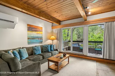 610 S West End Street #J204, Aspen, CO 81611 - Photo 6