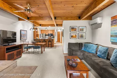 610 S West End Street #J204, Aspen, CO 81611 - Photo 4
