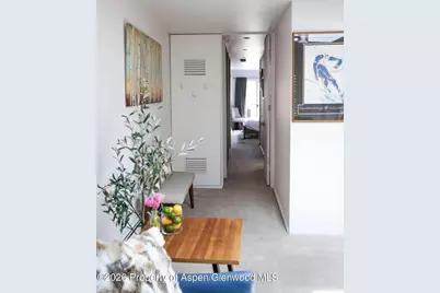 210 E Cooper Avenue #3-E, Aspen, CO 81611 - Photo 4