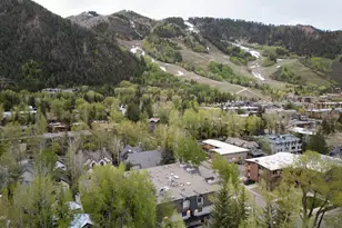 901 E Hyman Ave, Aspen, CO 81611 - Photo 16