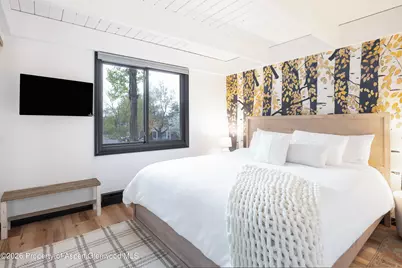 901 E Hyman Avenue #4, Aspen, CO 81611 - Photo 8