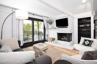 901 E Hyman Avenue #4, Aspen, CO 81611 - Photo 4