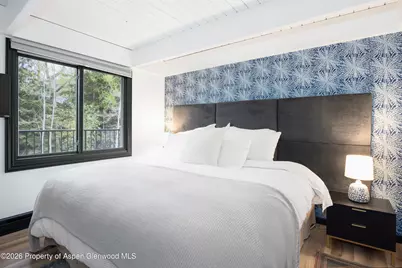 901 E Hyman Avenue #4, Aspen, CO 81611 - Photo 12