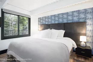 901 E Hyman Ave, Aspen, CO 81611 - Photo 12