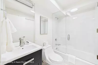 506 W Hallam Street, Aspen, CO 81611 - Photo 32
