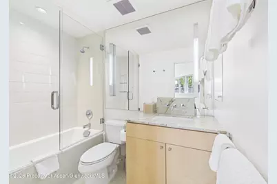 506 W Hallam Street, Aspen, CO 81611 - Photo 22