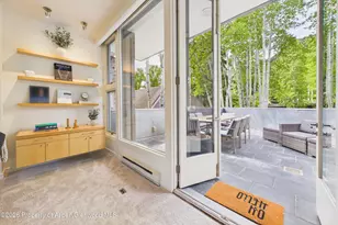 506 W Hallam St, Aspen, CO 81611 - Photo 10