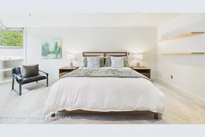 506 W Hallam Street, Aspen, CO 81611 - Photo 20