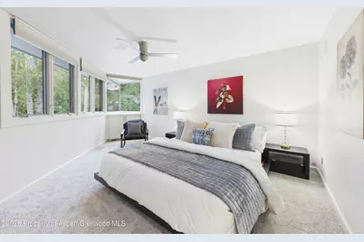 506 W Hallam Street, Aspen, CO 81611 - Photo 16