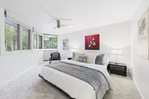 506 W Hallam St, Aspen, CO 81611 - Photo 16