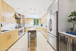 506 W Hallam St, Aspen, CO 81611 - Photo 12
