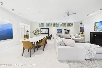 506 W Hallam Street, Aspen, CO 81611 - Photo 8