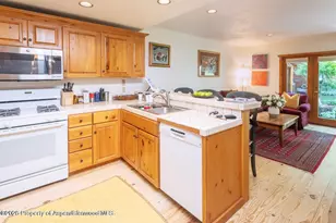 960 E Durant Ave, Aspen, CO 81611 - Photo 2