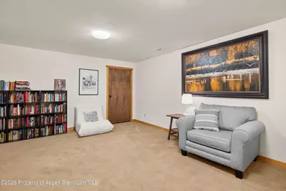 564 Grace Drive, Carbondale, CO 81623 - Photo 18