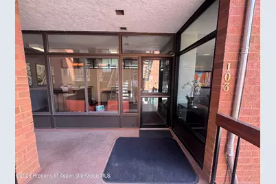 533 E Hopkins Ave #103, Aspen, CO 81611 - Photo 8