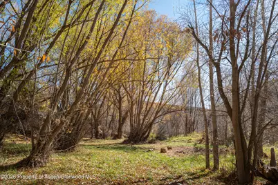 431 Park Avenue, New Castle, CO 81647 - Photo 16