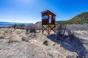 18726 Kimball Creek Rd, Collbran, CO 81624 - Photo 26
