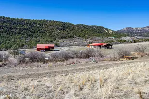 18726 Kimball Creek Rd, Collbran, CO 81624 - Photo 22