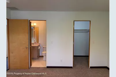 60 S 8th Street #301, Carbondale, CO 81623 - Photo 6