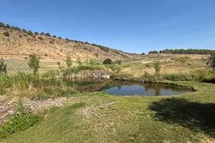 13507 Lonesome Cove Rd, Hotchkiss, CO 81419 - Photo 24
