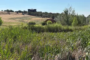 13507 Lonesome Cove Rd, Hotchkiss, CO 81419 - Photo 26