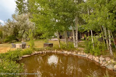 50 Alexander Avenue, Snowmass, CO 81654 - Photo 18