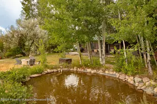 50 Alexander Ave, Snowmass, CO 81654 - Photo 18