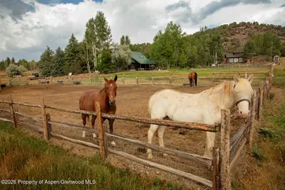 50 Alexander Avenue, Snowmass, CO 81654 - Photo 22